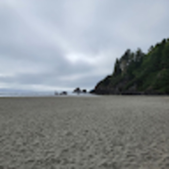 Meet your Posher, Daniel - Picture 1 of 1